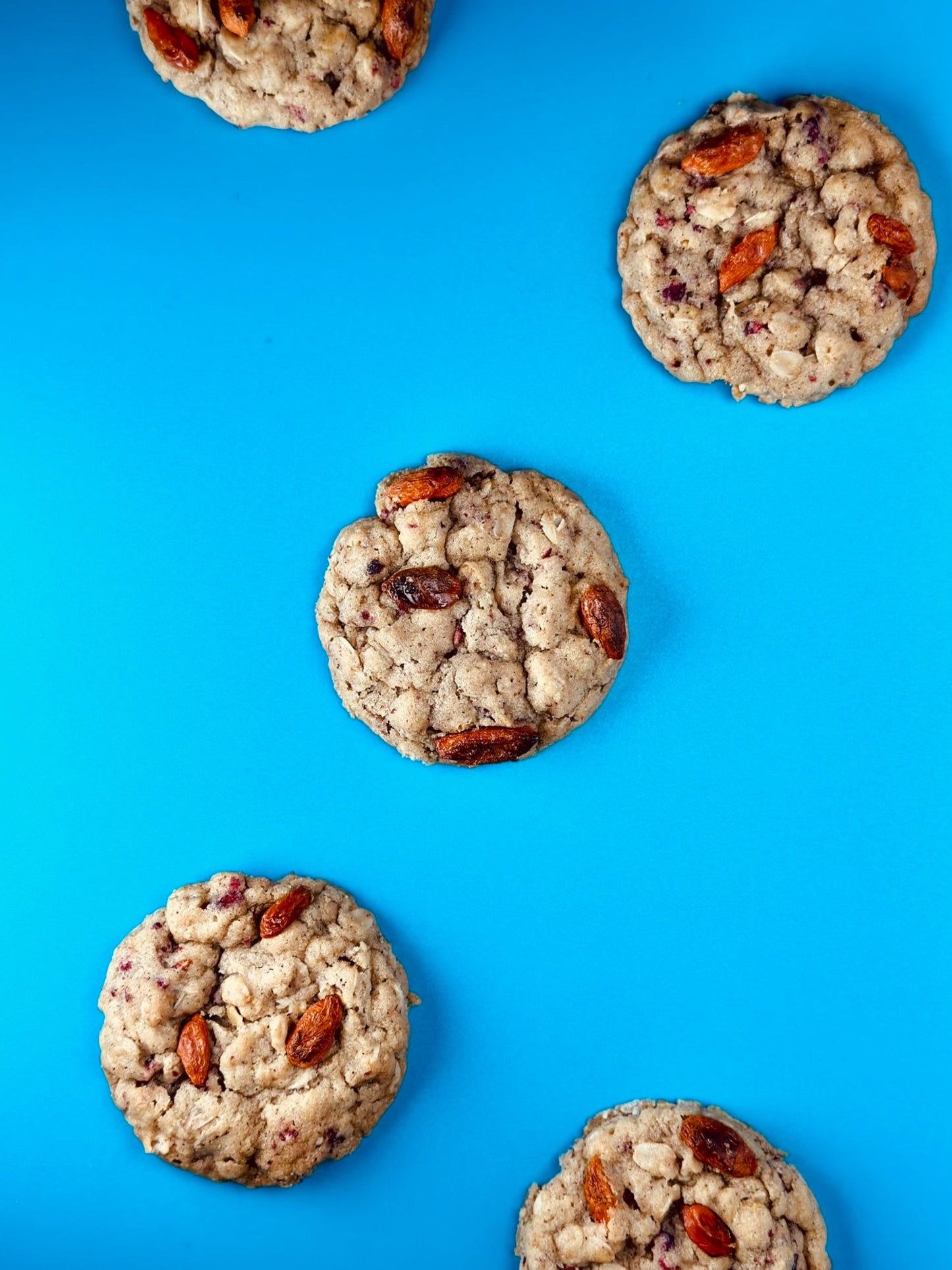 Oatmeal Goji Berry