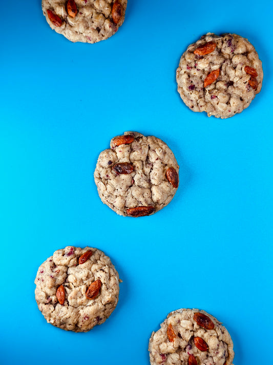 Oatmeal Goji Berry Bit